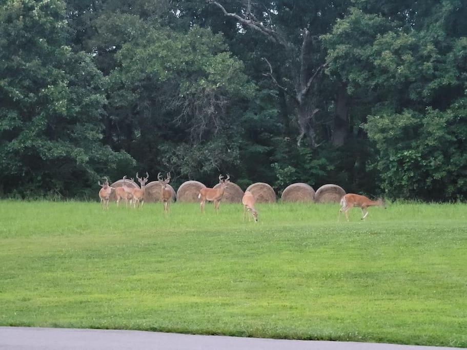 Deer Run Estate Llc Hotel Marshfield Bagian luar foto