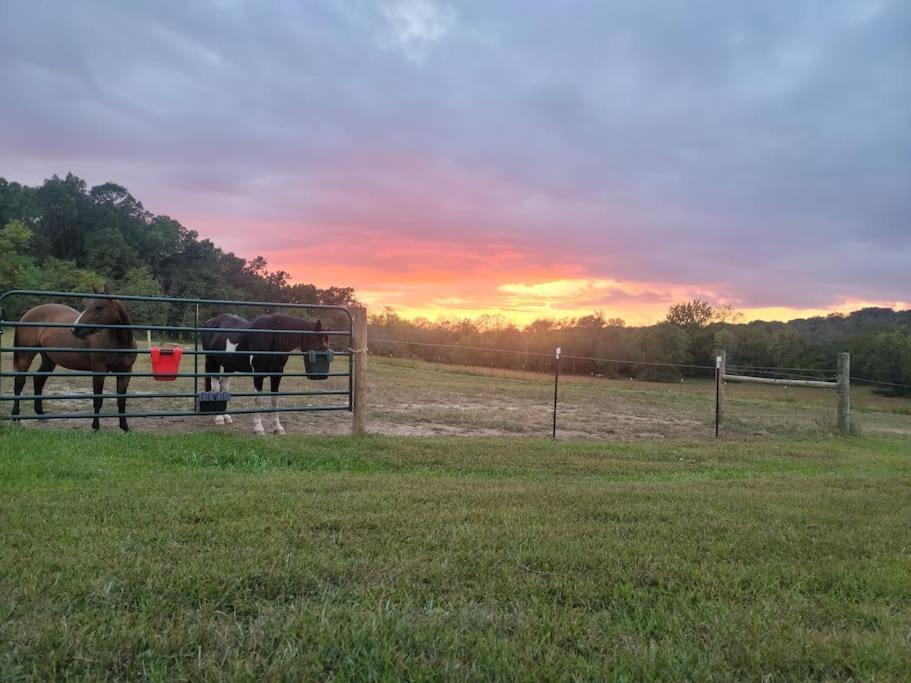 Deer Run Estate Llc Hotel Marshfield Bagian luar foto